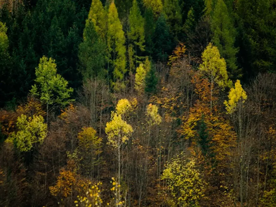 Immagine 4 di Magazzino in vendita  a Leini