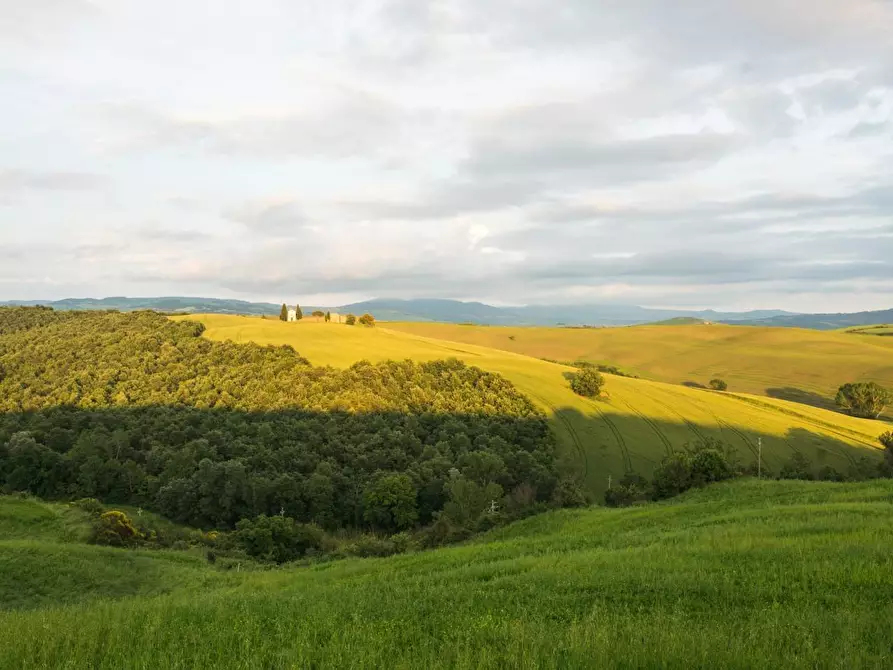 Immagine 3 di Magazzino in vendita  a Leini