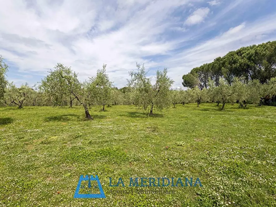 Immagine 15 di Casa indipendente in vendita  a Lamporecchio