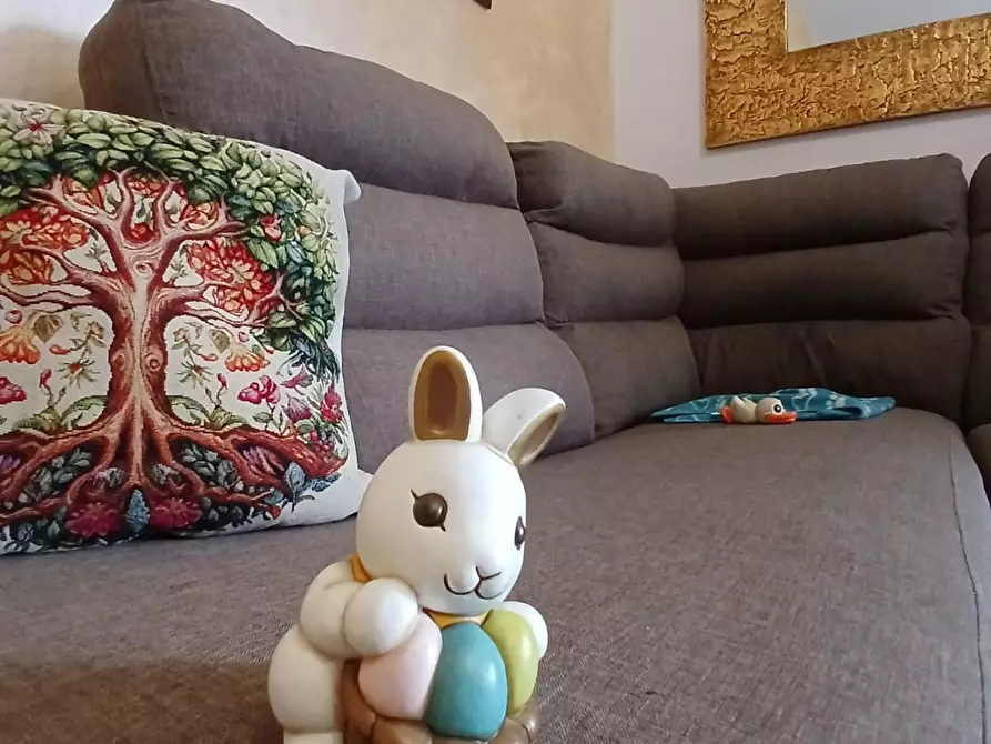 Immagine 1 di Appartamento in vendita  a Carrara
