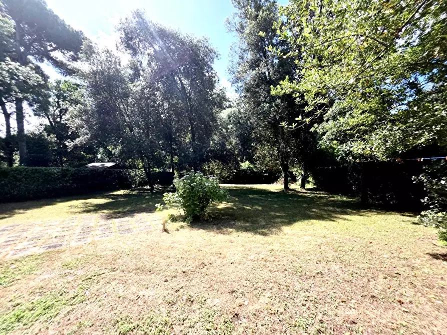 Immagine 2 di Porzione di casa in vendita  a Viareggio