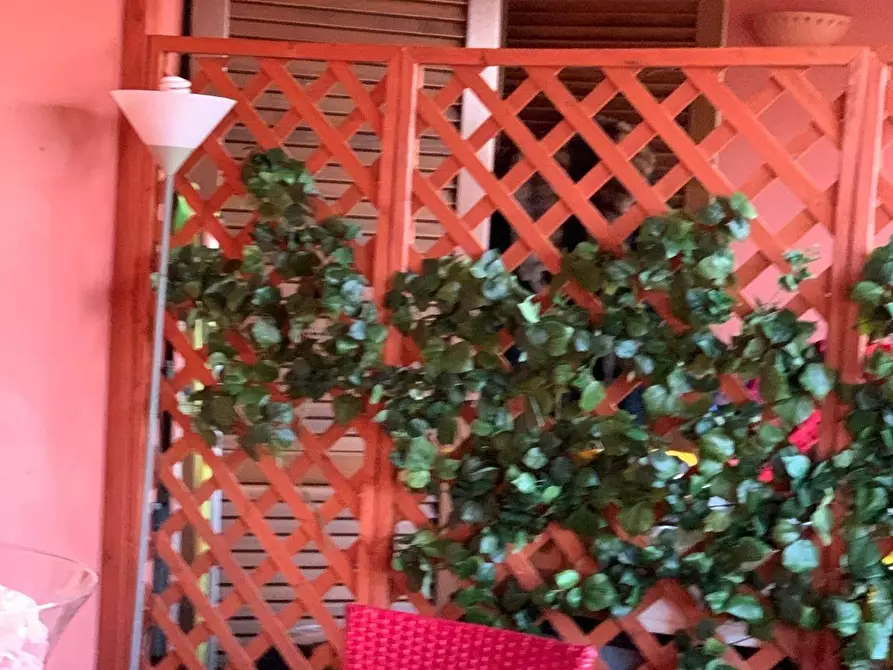 Immagine 7 di Appartamento in vendita  a Pontedera