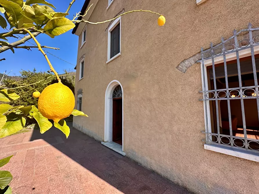 Immagine 5 di Casa colonica in vendita  a Pietrasanta