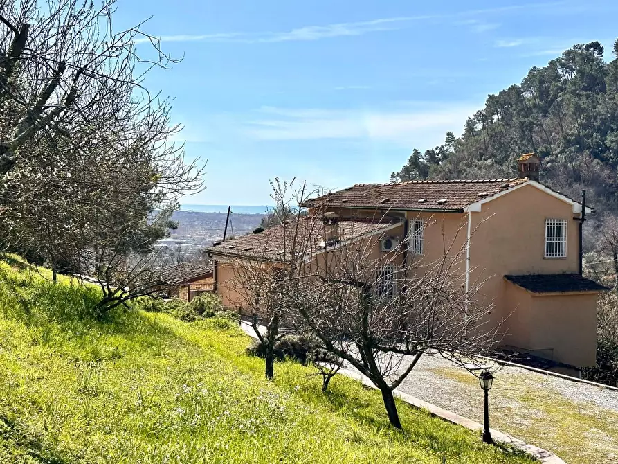 Immagine 3 di Casa colonica in vendita  a Pietrasanta