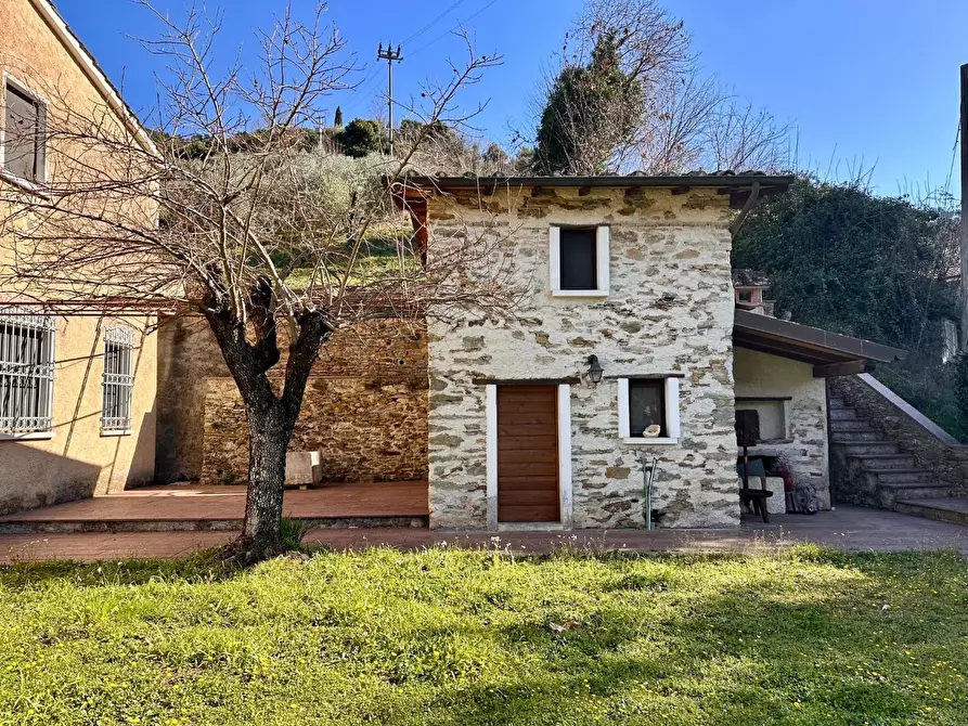 Immagine 21 di Casa colonica in vendita  a Pietrasanta