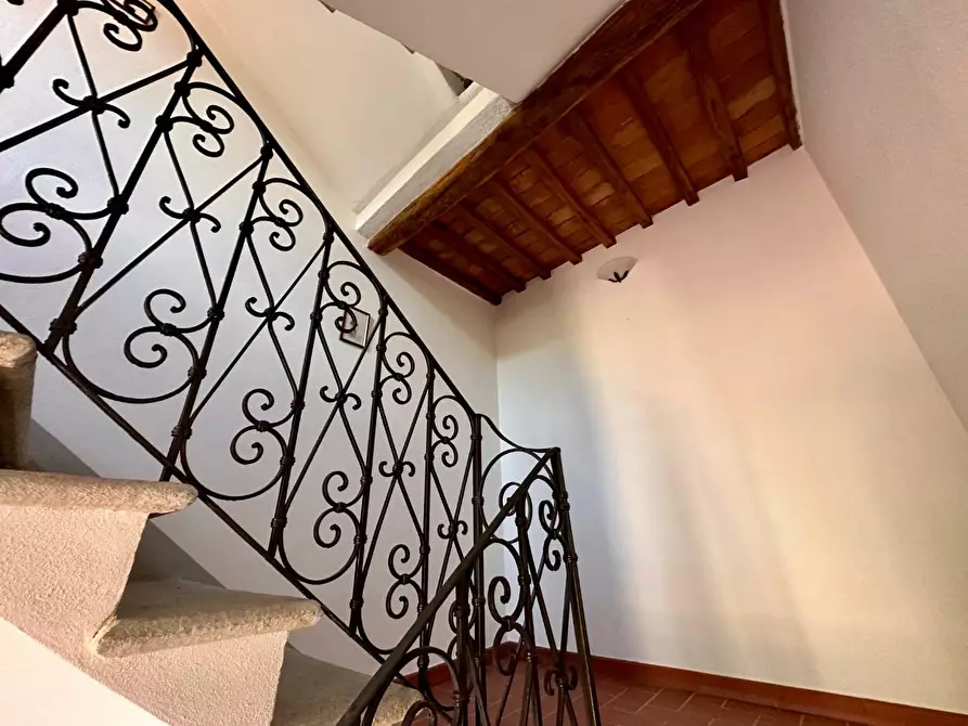 Immagine 12 di Casa colonica in vendita  a Pietrasanta
