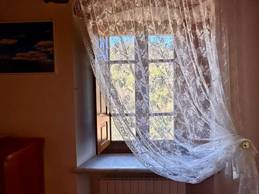 Immagine 10 di Casa colonica in vendita  a Pietrasanta