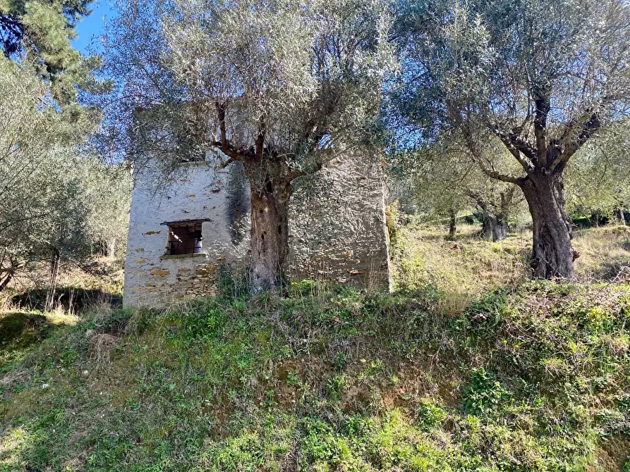 Immagine 20 di Casa colonica in vendita  a Pietrasanta