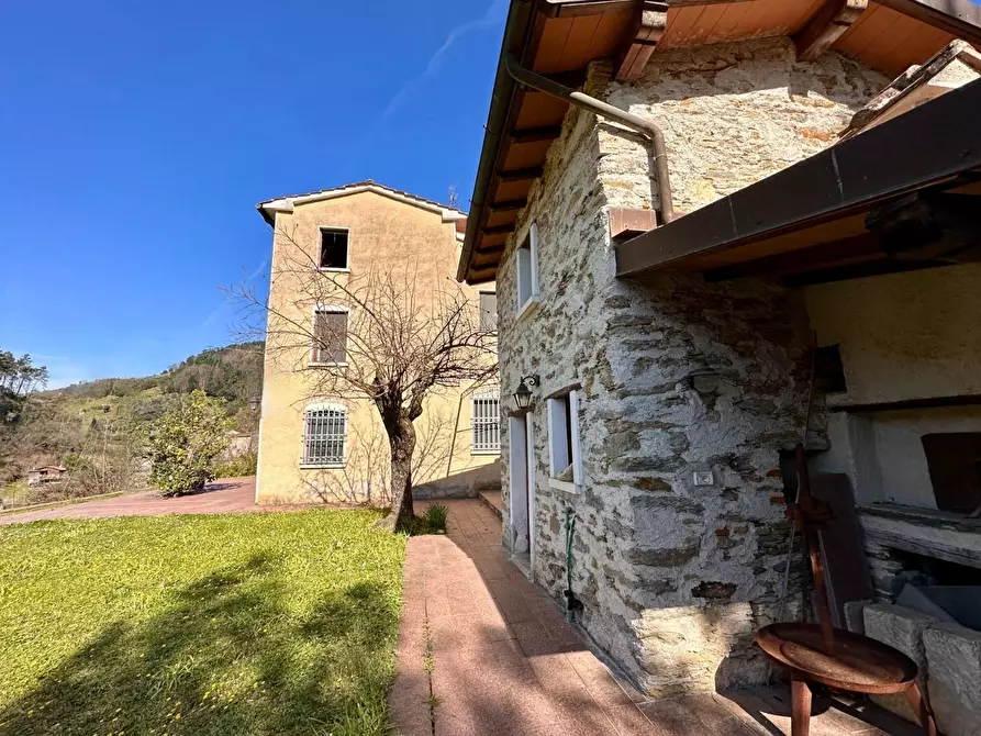 Immagine 4 di Casa colonica in vendita  a Pietrasanta
