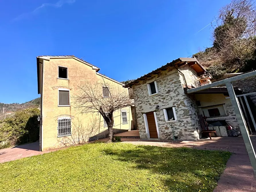 Immagine 6 di Casa colonica in vendita  a Pietrasanta
