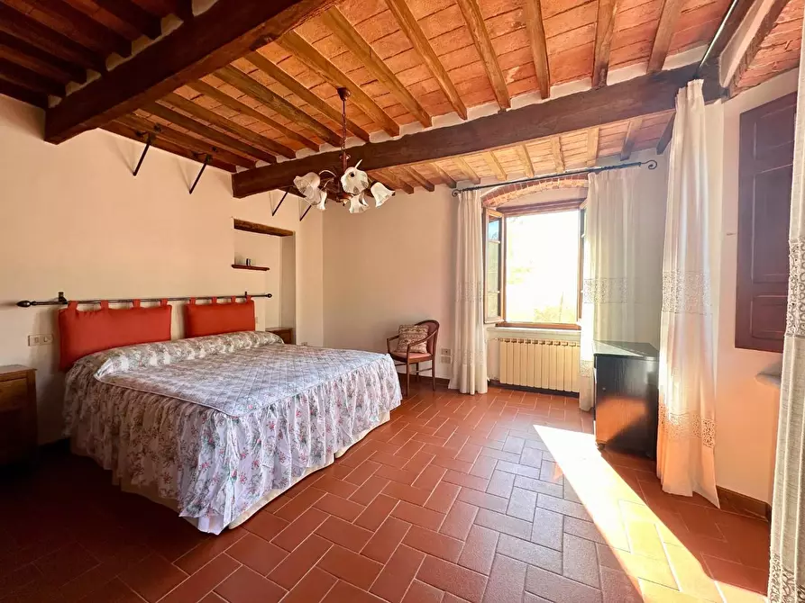 Immagine 14 di Casa colonica in vendita  a Pietrasanta