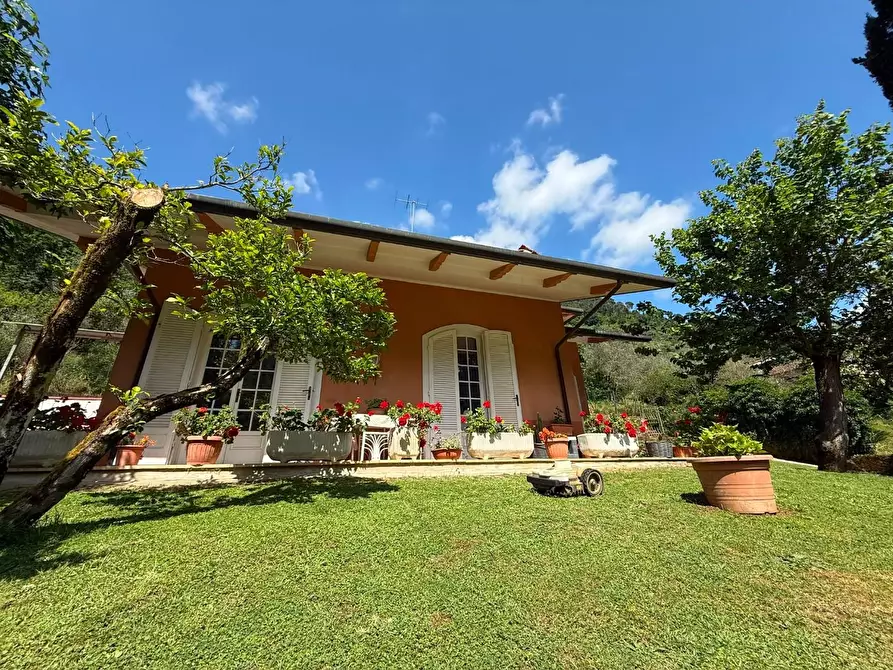 Immagine 3 di Villa in vendita  a Massa