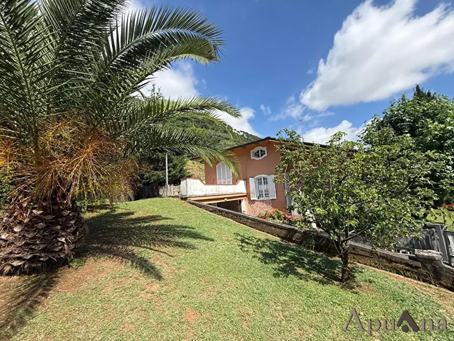 Immagine 12 di Villa in vendita  a Massa