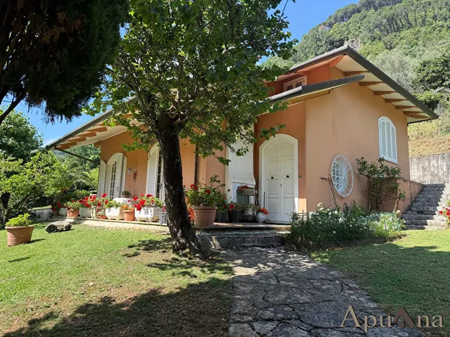 Immagine 1 di Villa in vendita  a Massa