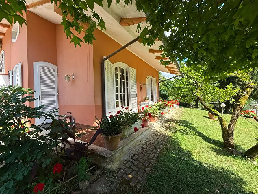 Immagine 4 di Villa in vendita  a Massa