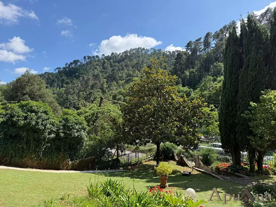Immagine 16 di Villa in vendita  a Massa
