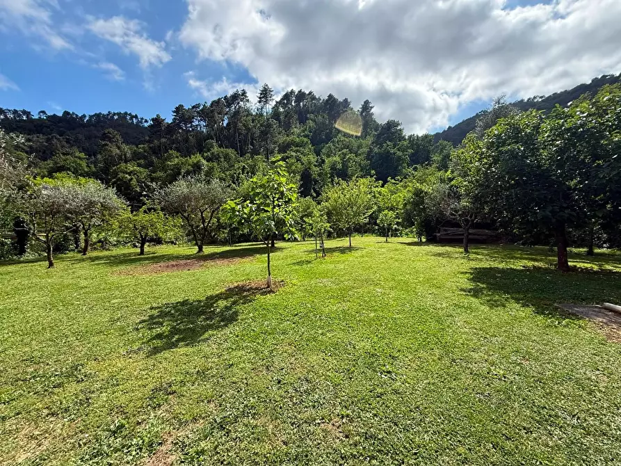 Immagine 15 di Villa in vendita  a Massa