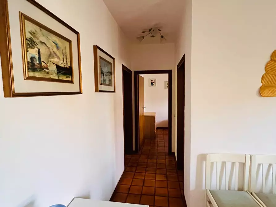 Immagine 4 di Appartamento in vendita  a Bibbona