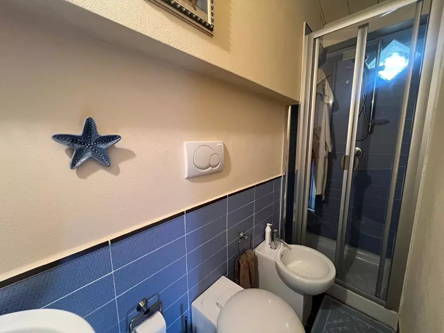 Immagine 8 di Appartamento in vendita  a Camaiore