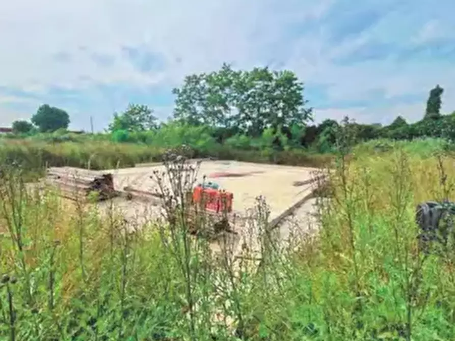 Immagine 2 di Villa in vendita  a Caluso