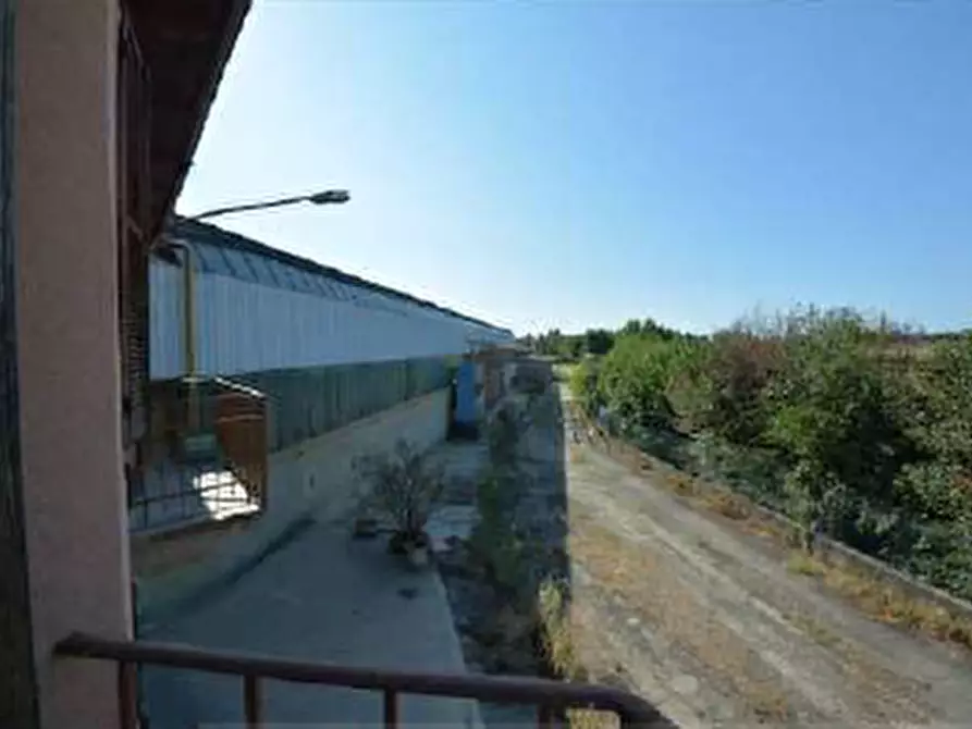 Immagine 15 di Capannone industriale in vendita  a San Carlo Canavese