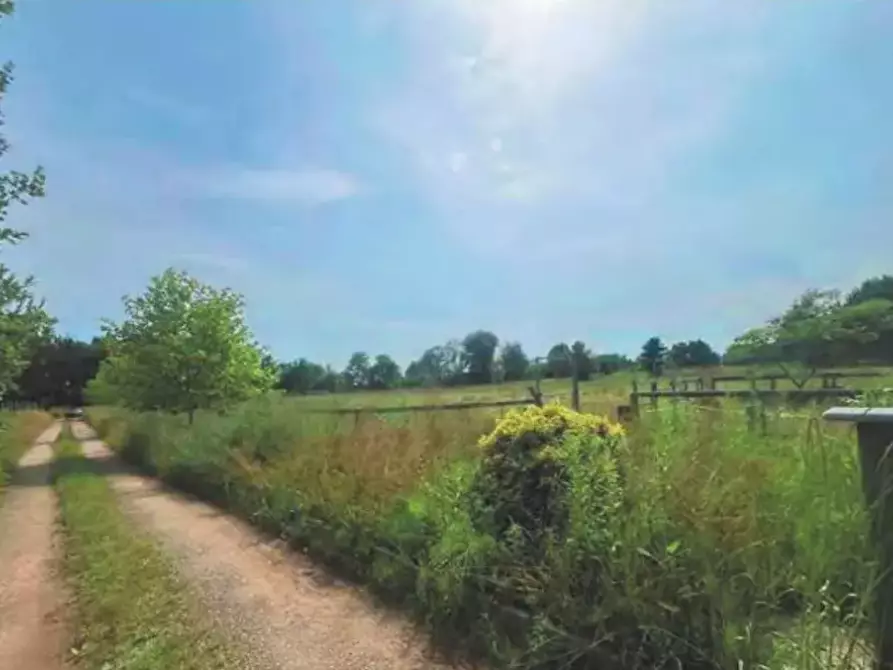 Immagine 8 di Azienda agricola in vendita  a Montanaro
