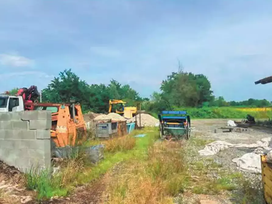 Immagine 7 di Azienda agricola in vendita  a Montanaro