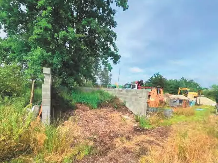 Immagine 6 di Azienda agricola in vendita  a Montanaro