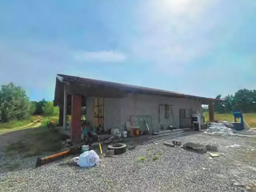 Immagine 2 di Azienda agricola in vendita  a Montanaro