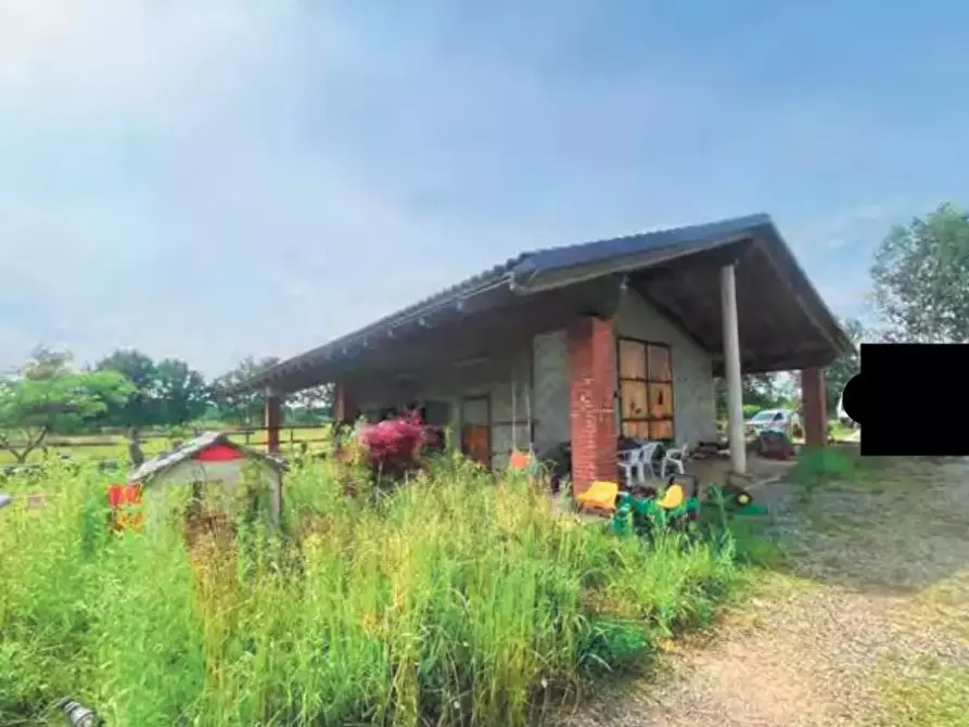 Immagine 3 di Azienda agricola in vendita  a Montanaro