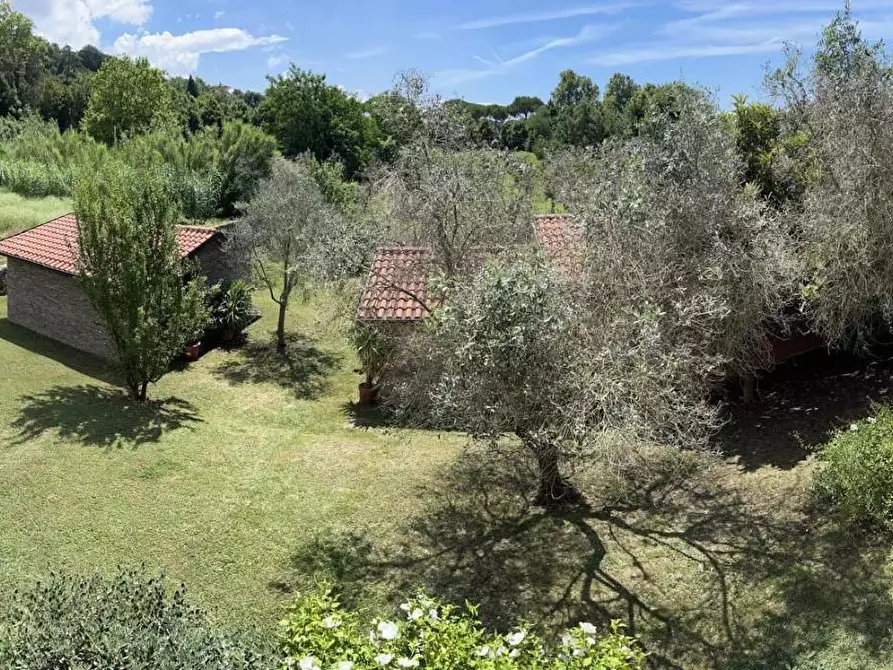 Immagine 37 di Villa in vendita  a Carrara