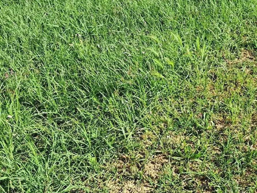 Immagine 15 di Terratetto in vendita  a Cascina