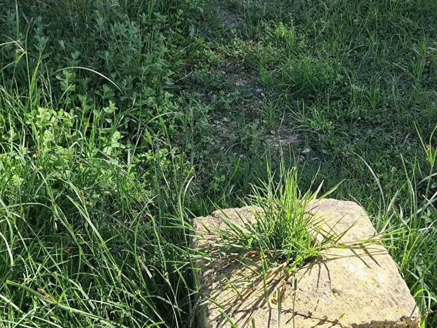 Immagine 13 di Terratetto in vendita  a Cascina