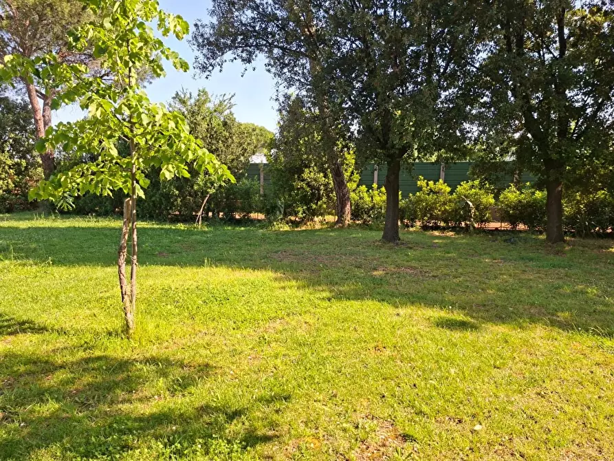 Immagine 39 di Porzione di casa in vendita  a Pontedera