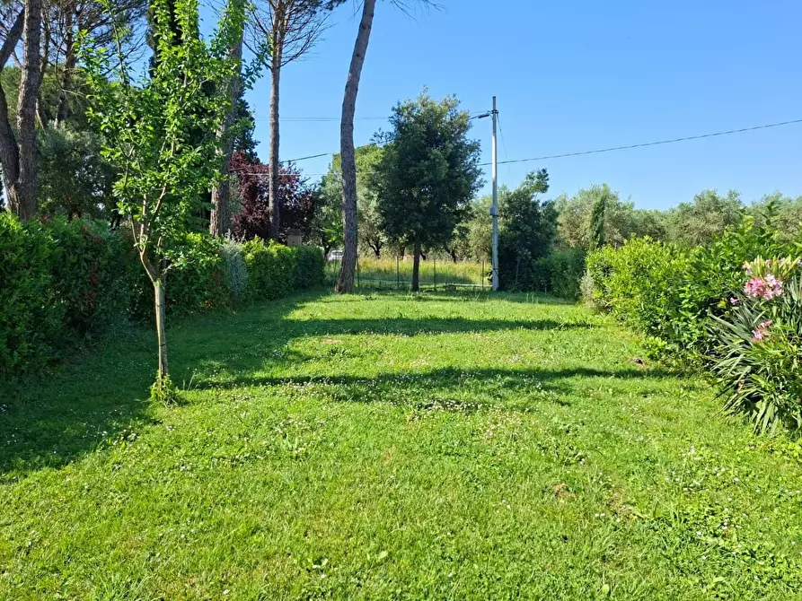 Immagine 32 di Porzione di casa in vendita  a Pontedera