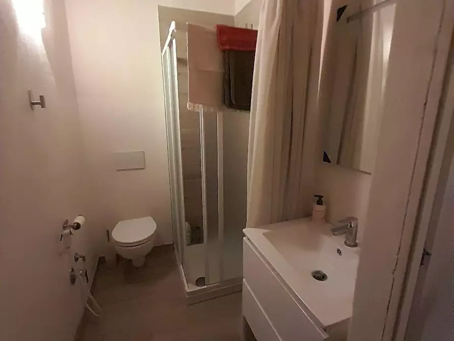 Immagine 8 di Appartamento in affitto  a Pisa