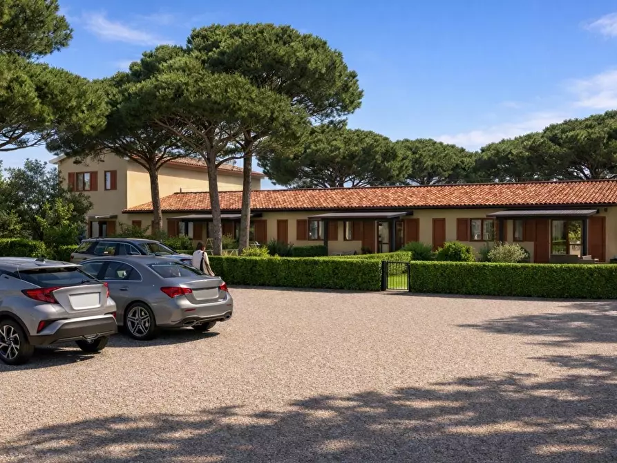 Immagine 2 di Appartamento in vendita  a Piombino