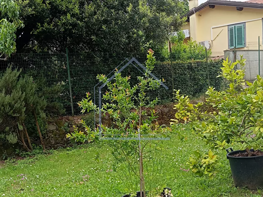 Immagine 2 di Appartamento in vendita  a Pescia