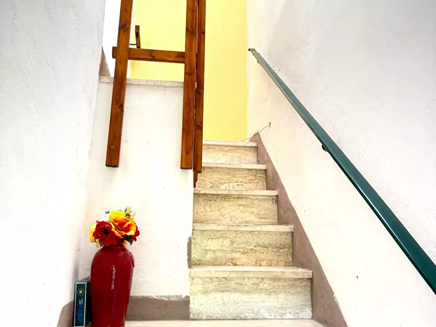Immagine 21 di Appartamento in vendita  a Crespina Lorenzana
