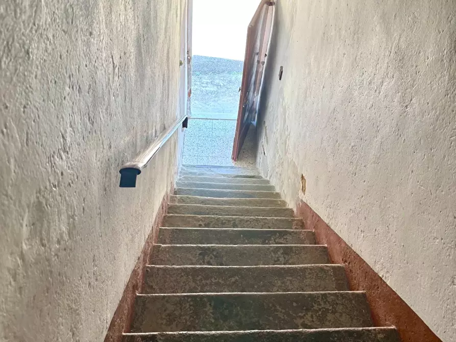 Immagine 24 di Appartamento in vendita  a Crespina Lorenzana