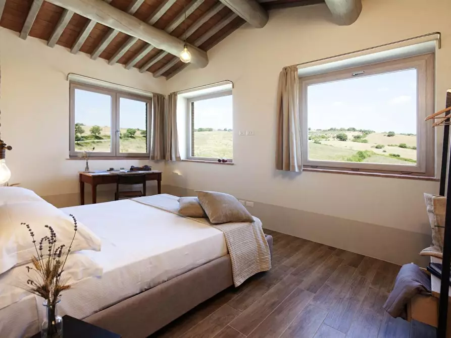 Immagine 19 di Casa colonica in vendita  a Magliano In Toscana