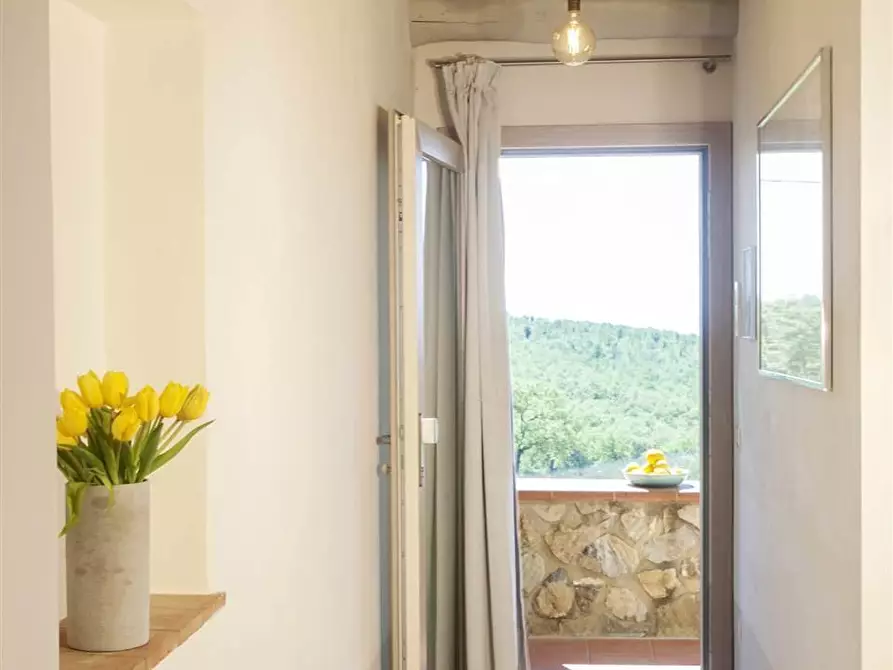 Immagine 12 di Casa colonica in vendita  a Magliano In Toscana