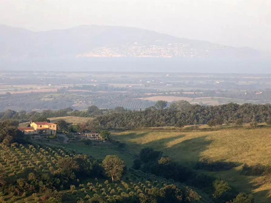 Immagine 20 di Casa colonica in vendita  a Magliano In Toscana
