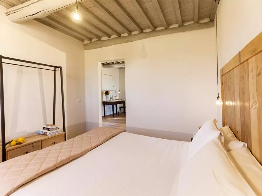 Immagine 10 di Casa colonica in vendita  a Magliano In Toscana
