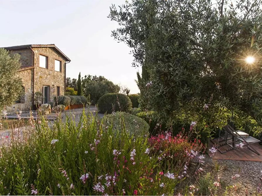 Immagine 6 di Casa colonica in vendita  a Magliano In Toscana
