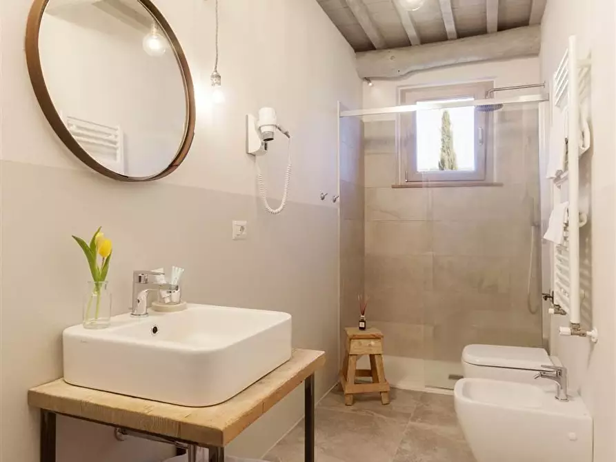 Immagine 11 di Casa colonica in vendita  a Magliano In Toscana