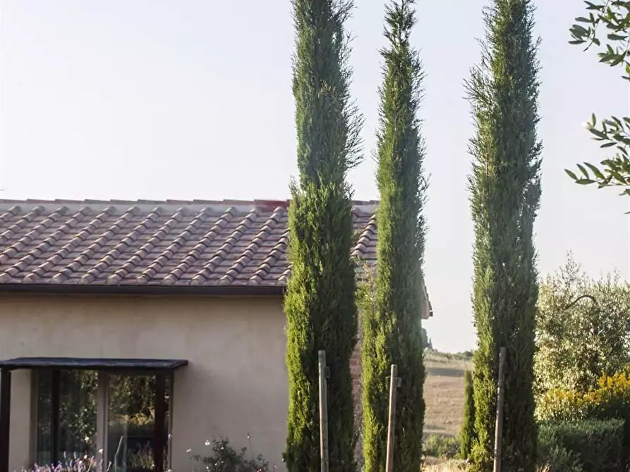 Immagine 3 di Casa colonica in vendita  a Magliano In Toscana