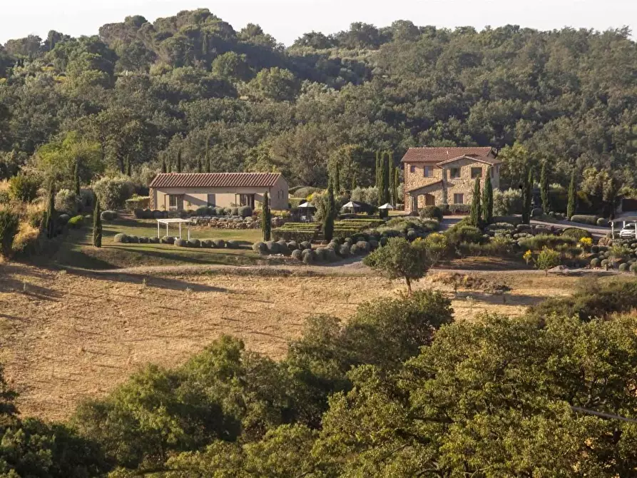 Immagine 7 di Casa colonica in vendita  a Magliano In Toscana
