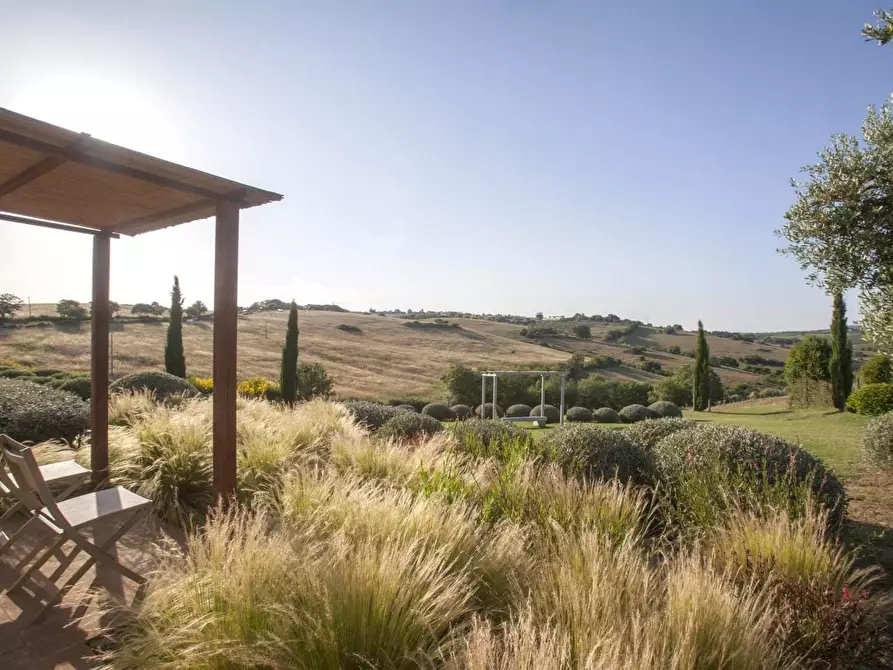 Immagine 2 di Casa colonica in vendita  a Magliano In Toscana