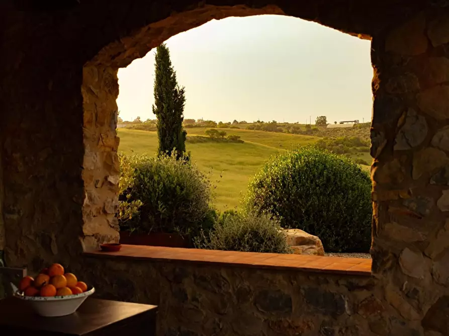 Immagine 14 di Casa colonica in vendita  a Magliano In Toscana